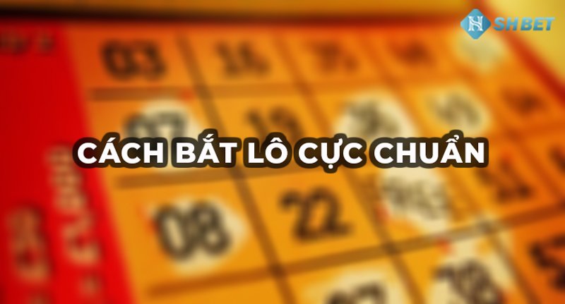 Cách bắt lô chuẩn theo ngày - Tỷ lệ ăn đến 90%