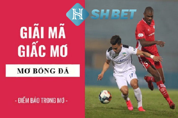 Mơ đá bóng đánh con gì? Sổ mơ chính xác nhất hiện nay